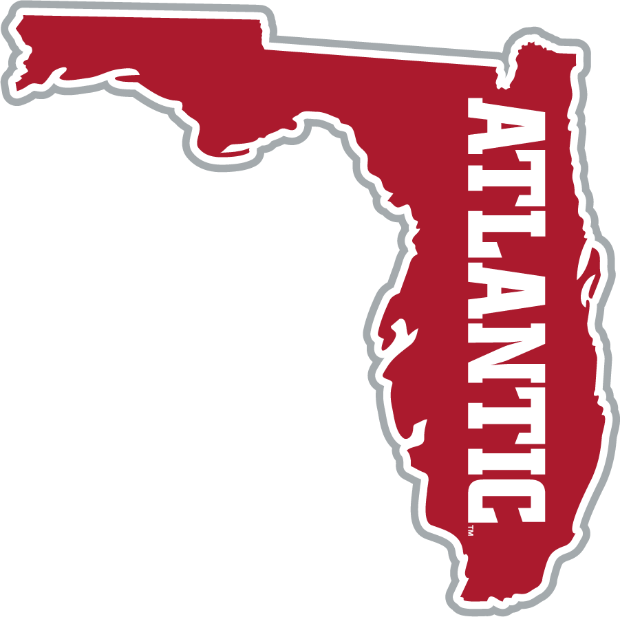 Florida Atlantic Owls 2015-2017 Secondary Logo iron on transfers for T-shirts